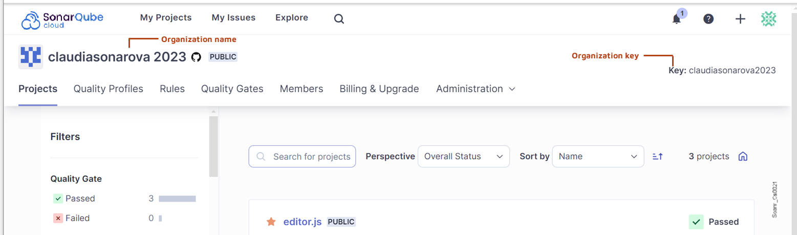 Selecting your organization in the UI will open its Project page.
